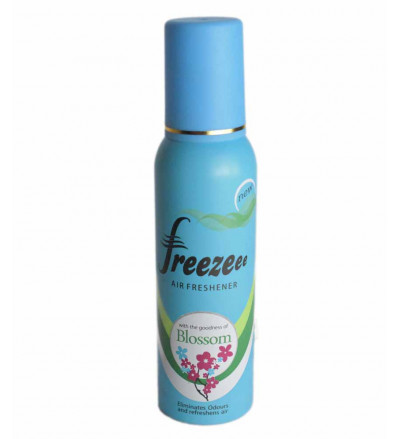 Freezee air freshener Blossom 75 g
