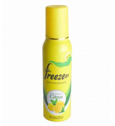Freezee air freshener Citrus 75 g